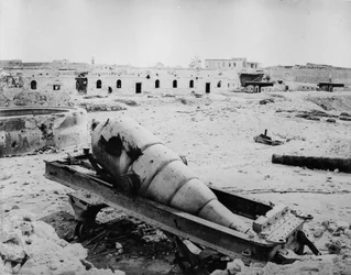 Ruins and Artillery in Fort Meks, 1882